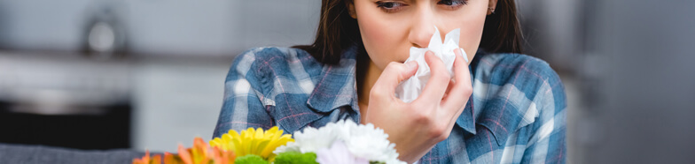 Can Indoor Air Purification Alleviate Seasonal Allergies?